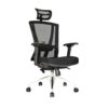 Silla Tori Premium