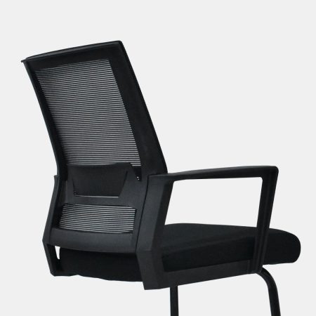 Silla Domm interlocutora