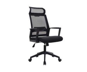 Silla Domm