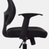 Silla Natus