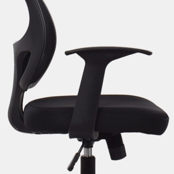 Silla Natus