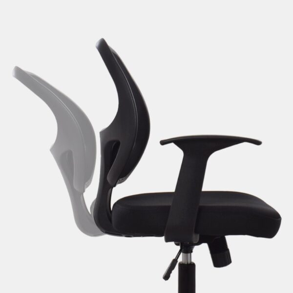 Silla Natus